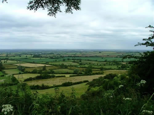 dk003.jpg (large)