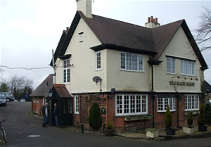 black horse